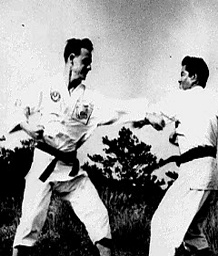 Hoffman_12_Free sparring with Kise on Okinawa